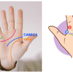 Como fazer a leitura psíquica da palma da mão psychic palm reading